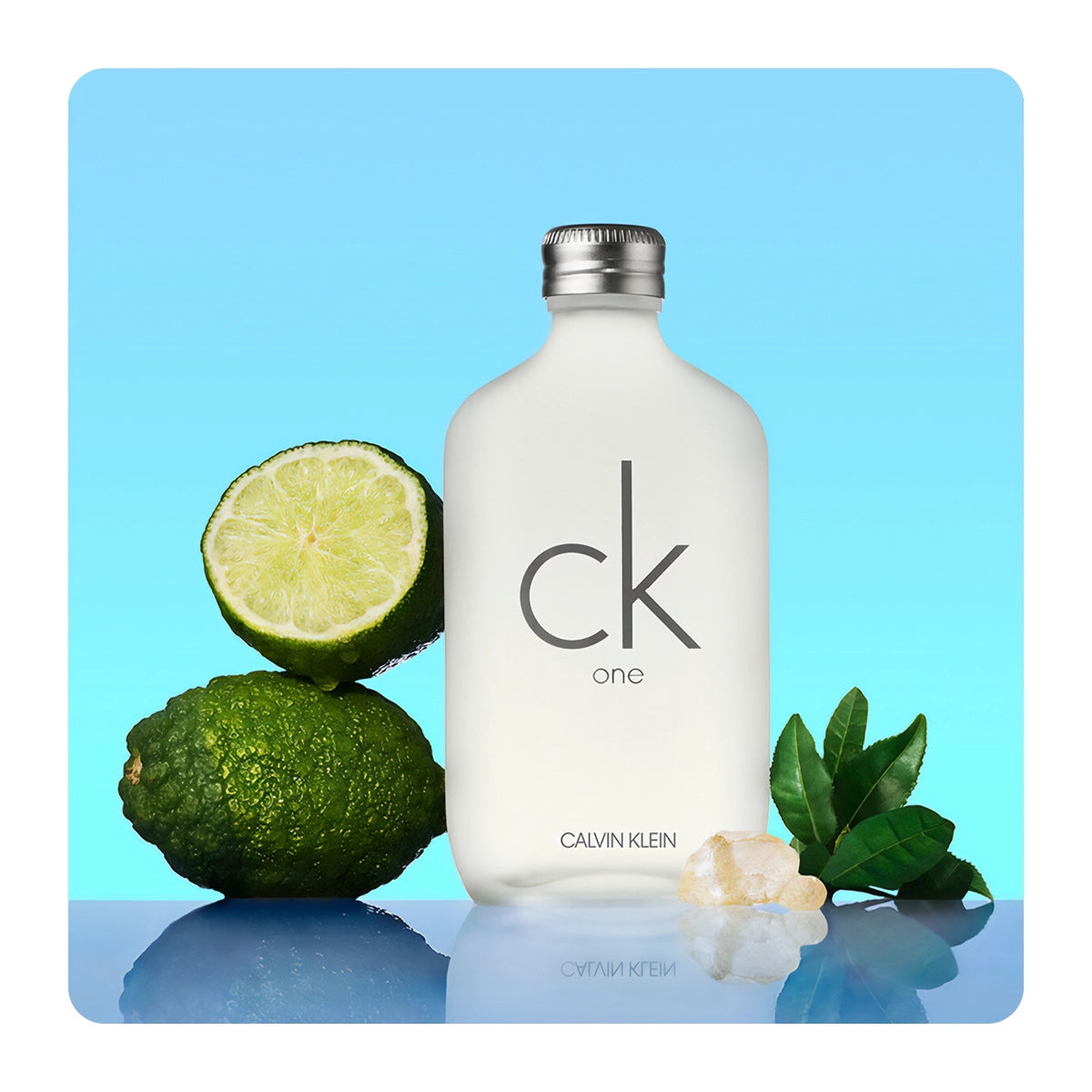 "Perfume Calvin Klein CK One 50 ml EdT unisex, fragancia cítrica y aromática con limón, jazmín y sándalo – Fragantik"