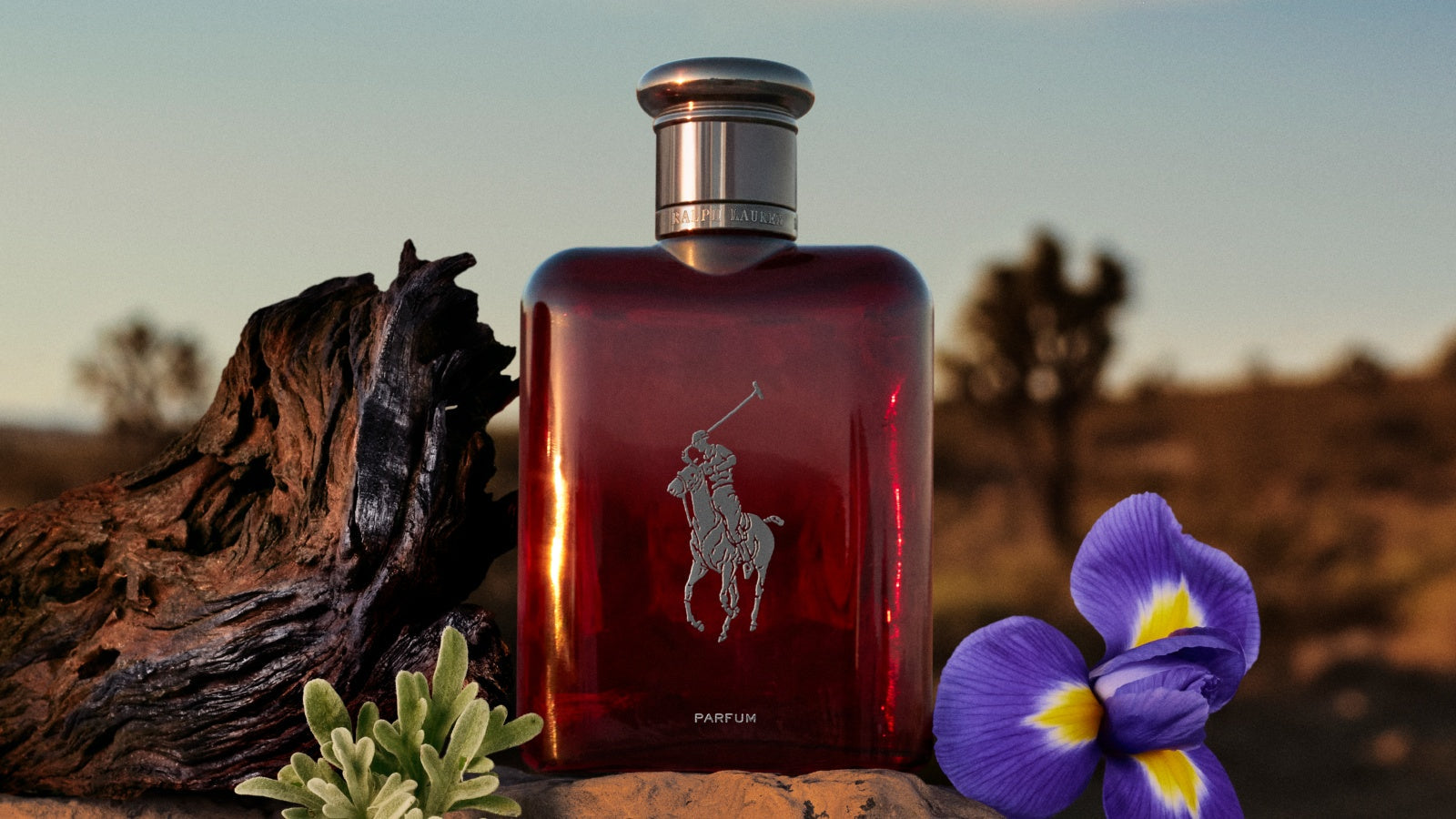 Ralph Lauren