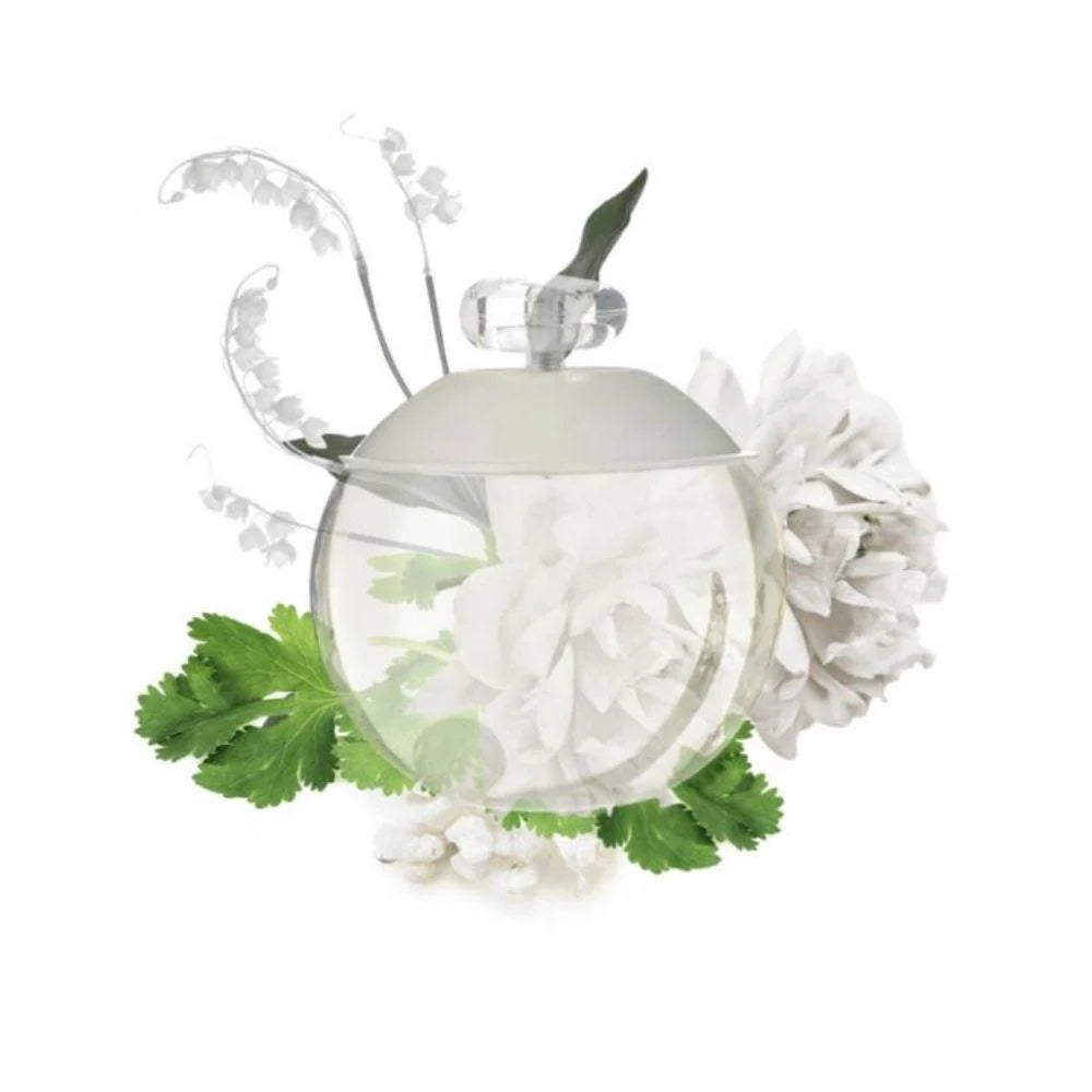 "Perfume Cacharel Noa 30 ml EdT para mujer, fragancia floral almizclada con ciruela, jazmín y almizcle – Fragantik"