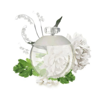 "Perfume Cacharel Noa 30 ml EdT para mujer, fragancia floral almizclada con ciruela, jazmín y almizcle – Fragantik"