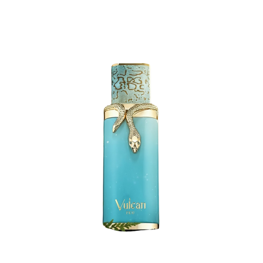 Perfume French Avenue Vulcan Feu 100 ml EDP masculino